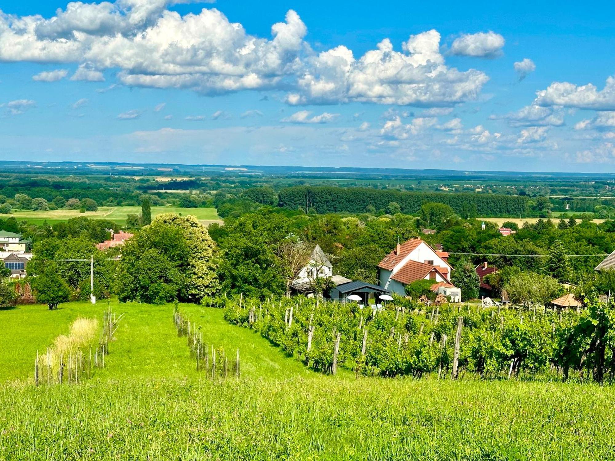 Szent Orban Panzio - Kutyabarat Apartmanok Zalakaros Exterior foto